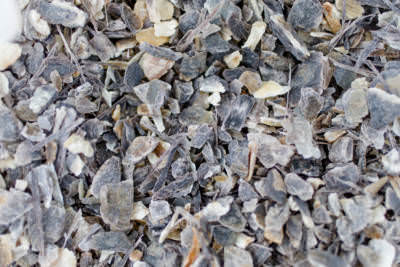 gemüse mit hornspäne düngen HaGaFe Bio Hornspäne, Gartendünger, Dünger, Gemüsedünger, Stickstoffdü –  HaGaFeShop main image 0