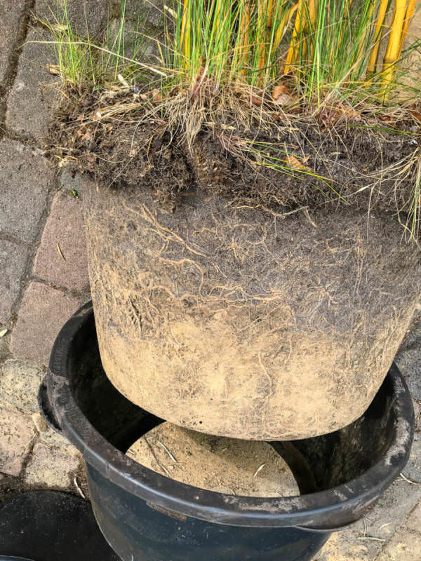 Rhizomsperre selber bauen, Alternativen zur Rhizomsperre Bambusmann